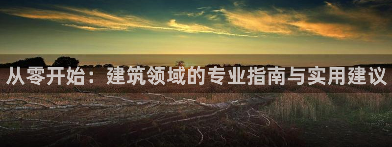 安信12登录地址：从零开始：建筑领域的专业指南与实用建议