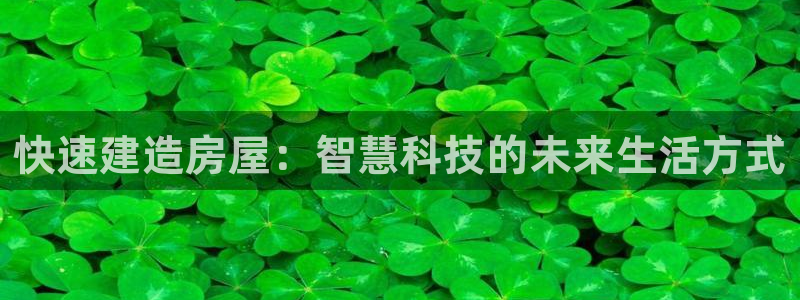 安信12是正规还是仿：快速建造房屋：智慧科技的未来生活方式