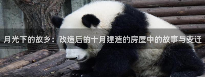 安信12想开户：月光下的故乡：改造后的十月建造的房屋中的故事与变迁