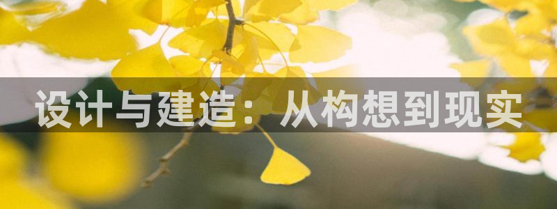 安信cw12系列：设计与建造：从构想到现实
