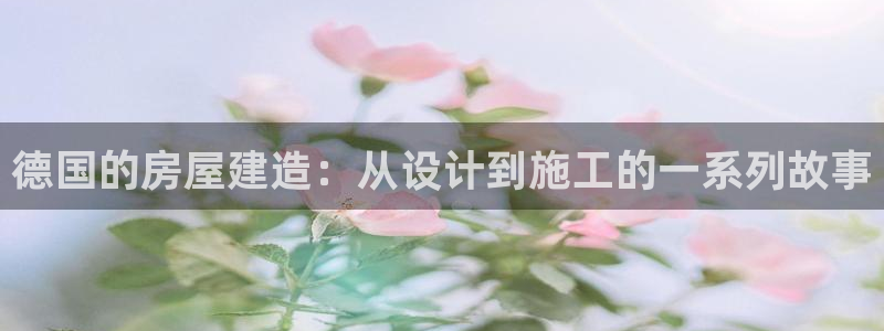 安信可esp-12：德国的房屋建造：从设计到施工的一系列故事