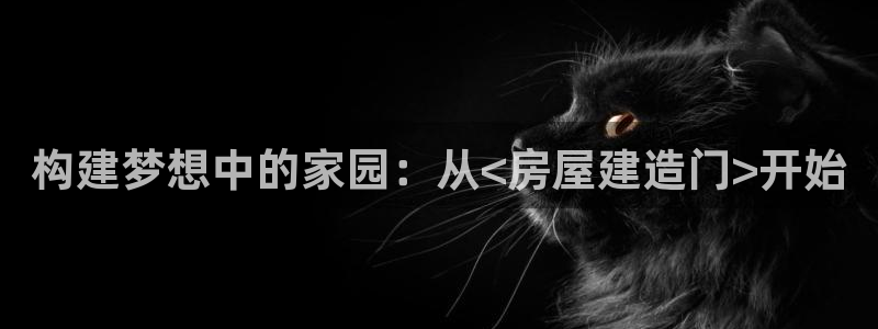 安信12娱乐招商探索空间：构建梦想中的家园：从<房屋建造门>开始