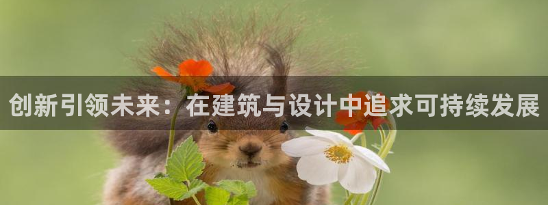 安信 12：创新引领未来：在建筑与设计中追求可持续发展