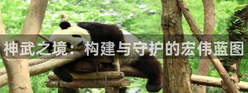 安信12娱乐登录：神武之境：构建与守护的宏伟蓝图