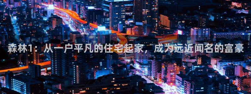 安信证券 12位：森林1：从一户平凡的住宅起家，成为远近闻名的富豪