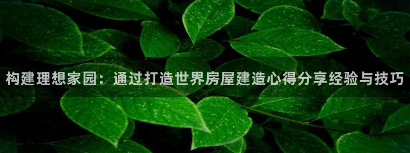 安信12是做什么：构建理想家园：通过打造世界房屋建造心得分享经验与技巧