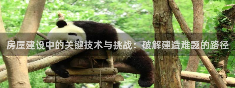 安信esp12k：房屋建设中的关键技术与挑战：破解建造难题的路径