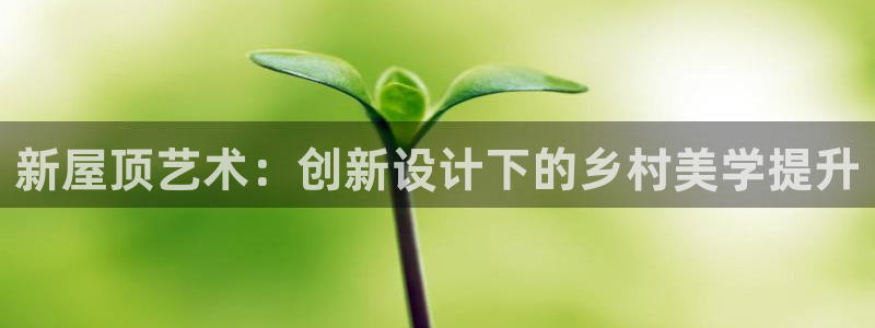 安信12娱乐代理：新屋顶艺术：创新设计下的乡村美学提升