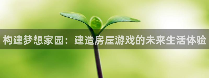 安信12娱乐登录网页：构建梦想家园：建造房屋游戏的未来生活体验