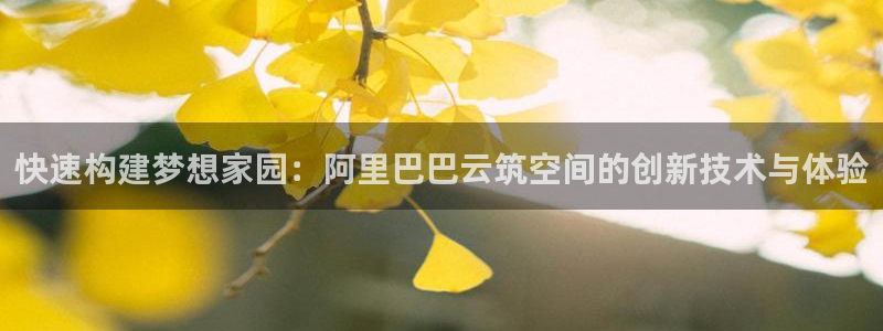 安信12是正规平台吗：快速构建梦想家园：阿里巴巴云筑空间的创新技术与体验