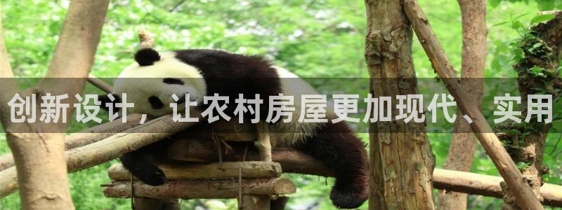 安信12如何开代理：创新设计，让农村房屋更加现代、实用
