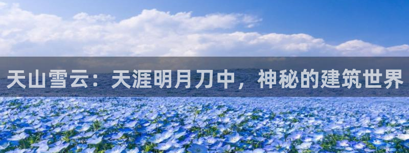 安信12包赔：天山雪云：天涯明月刀中，神秘的建筑世界