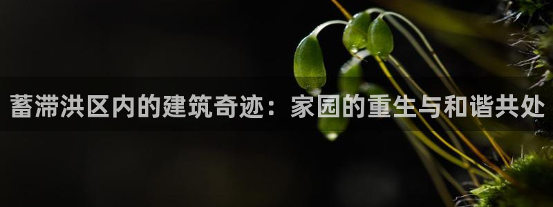 安卓12微信：蓄滞洪区内的建筑奇迹：家园的重生与和谐共处