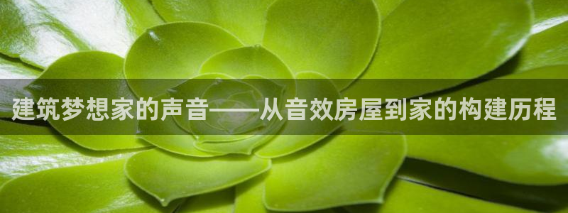 安信12app：建筑梦想家的声音——从音效房屋到家的构建历程