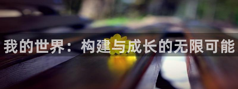 信安12：我的世界：构建与成长的无限可能