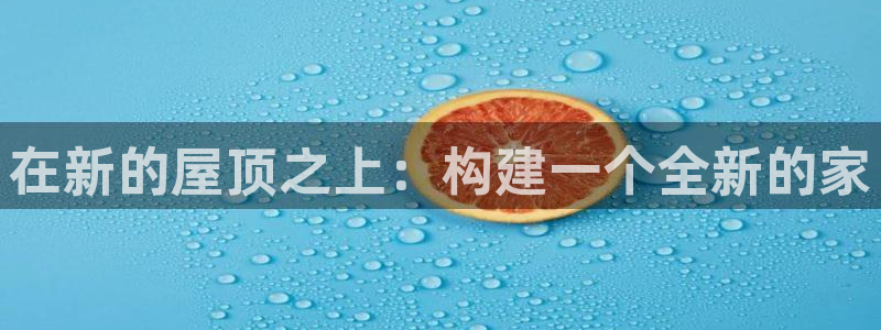 安信12彩票app下载：在新的屋顶之上：构建一个全新的家
