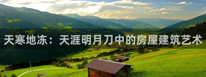 安信12注册登录平台：天寒地冻：天涯明月刀中的房屋建筑艺术