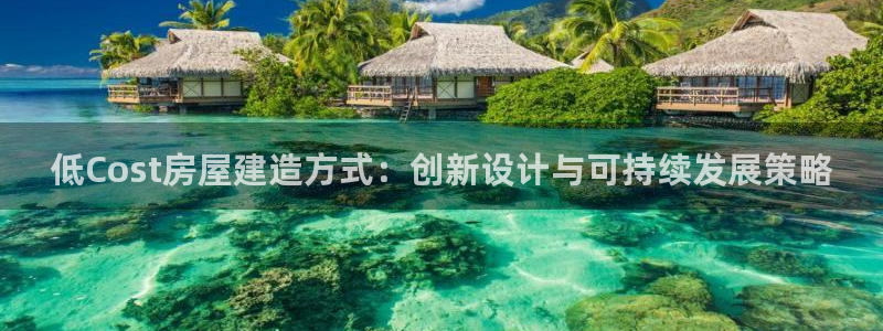 安信312 12：低Cost房屋建造方式：创新设计与可持续发展策略
